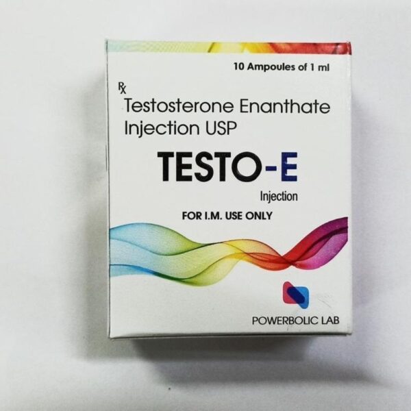 TESTO E AMP